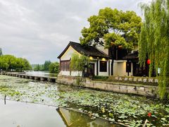 -鲁镇