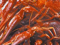 -京炭铜锅涮肉·羊蝎子·羊肉炉(保利·时光里店)
