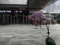 -卓花境Flowerwonderland花店