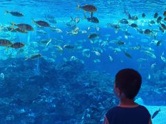 -海合安成都极地海洋公园