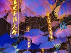 -海合安青岛极地海洋公园