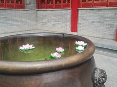 -西安市广仁寺