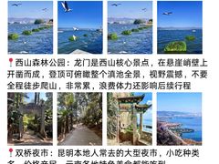 -南屏步行街