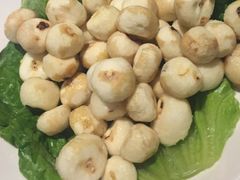 -百年果林椰子鸡(中洲店)