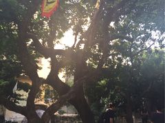 -小洲村