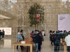 -Apple零售店(济南恒隆广场店)
