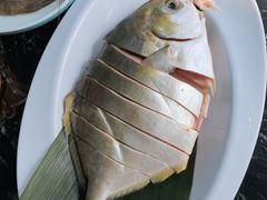 -小海豚•老字号海鲜餐厅(天涯店)