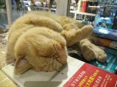 -小时光咖啡馆(开森度假森林店)