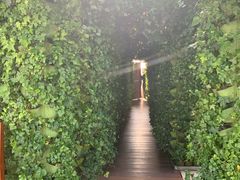 -顶层酒吧ROOF(上海艾迪逊酒店)