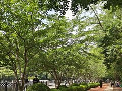 -大连植物园