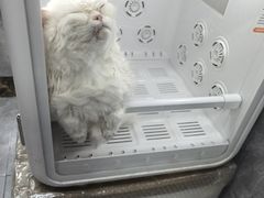 -瑞鹏宠物医院华南总院·夜诊·心脏科·骨科