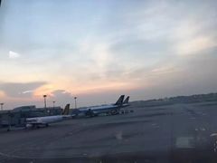 -新加坡航空公司(ION)