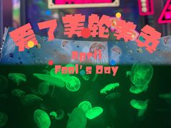 -江和美海洋公园
