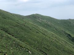 -灵山
