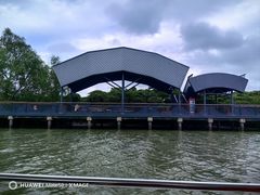 -东寨港红树林旅游区