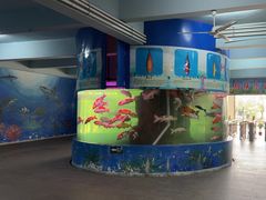 -泉州海丝野生动物世界