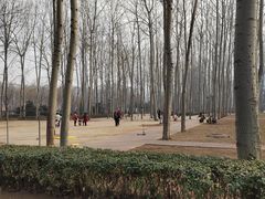 -仁和公园(顺义区)