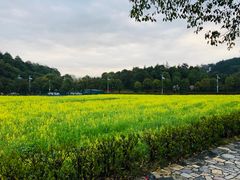 -韶山毛泽东同志故居