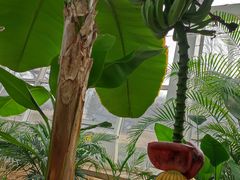 -石家庄市植物园