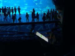 -广东省拱北口岸中国旅行社(华宾营业部)