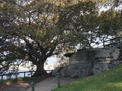 -麦考利夫人座椅