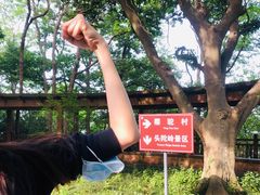 -紫金山山顶公园