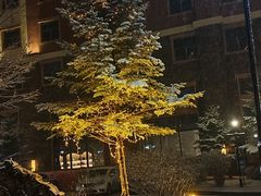 -长白山万达锦华套房酒店