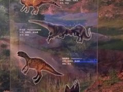 -烟台市博物馆