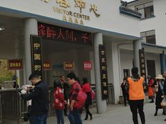 -千年银杏谷文化旅游区