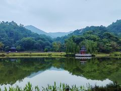 -国恩寺
