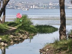 -洱海月湿地公园