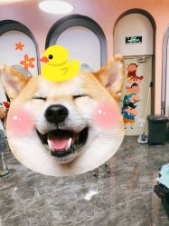 -爆米花儿童美发乐园(万象汇店)
