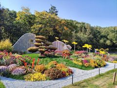 -上海共青森林公园