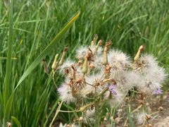 -天津东丽湖风景区