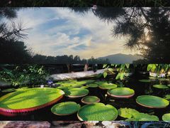 -国家植物园南园