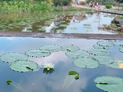 -广州莲花山旅游区