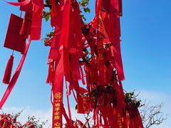 -泰山风景名胜区