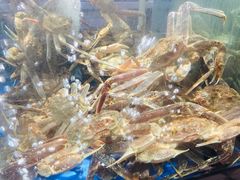 -蟹之国·精品蟹料理(极地店)