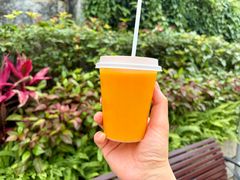 芒果汁-澳门长洲糯米糍(柯打苏沙街店)