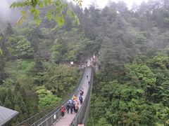 -娄山关景区
