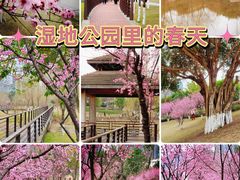 -沐仙湖湿地公园