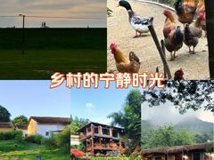 -惠州西湖风景名胜区-丰渚园