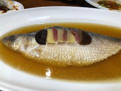 -乔家栅(襄阳南路店)