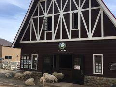 -神户市立六甲山牧场