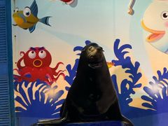 -太平洋海底世界