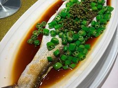 -老吉士酒家(天平路店)