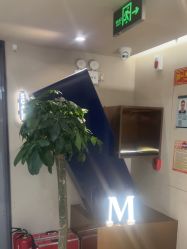 -木北造型