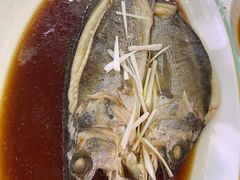 -巩本明鱼屋子