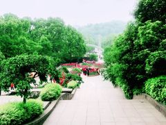 -南山植物园