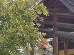 -香积寺